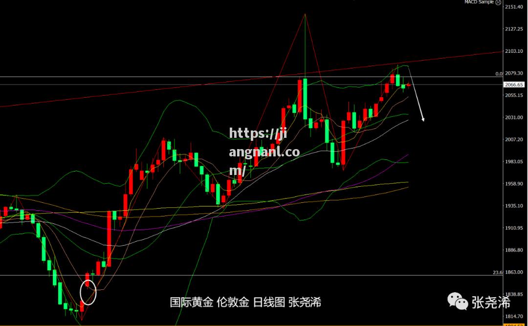 里昂客场战平尼斯，联赛前景依然不明朗